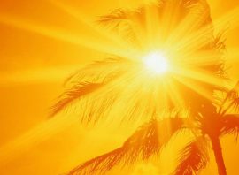 D24be0a1 6014 4ab8 A562 A367f5868296